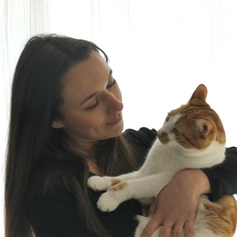 récré du chat