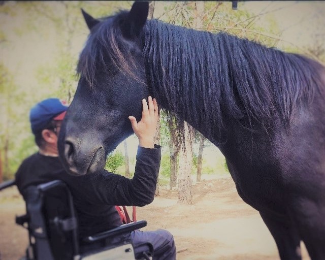 Equus